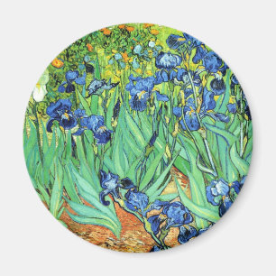 Irises - Vincent Van Gogh (1889) Magneet