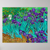 Irises, Vincent van Gogh Poster (Voorkant)