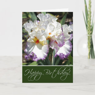 Irises Wenskaart Kaart