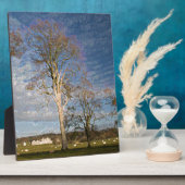 Irish Beech Trees Fotoplaat (Zijkant)