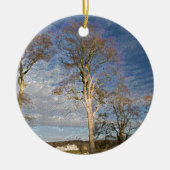 Irish Beech Trees Keramisch Ornament (Voorkant)