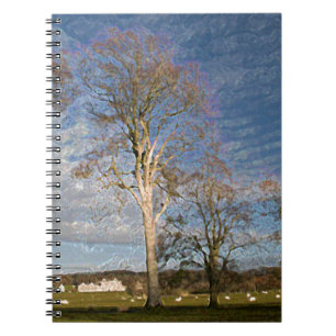 Irish Beech Trees Notitieboek