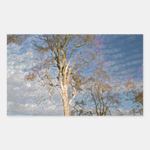 Irish Beech Trees Rechthoekige Sticker
