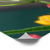 Irish Blessing Poster (Peacock blanc et Milkweed) (Coin)