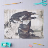Irish Cob Horse Decoupage Tissuepapier (Craft)