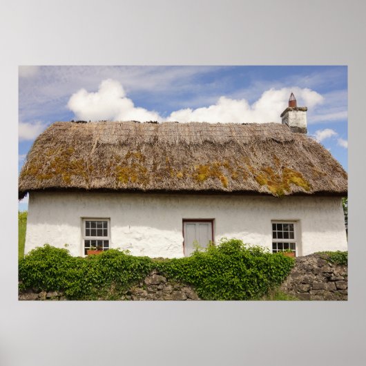 Irish Cottage Poster (Voorkant)
