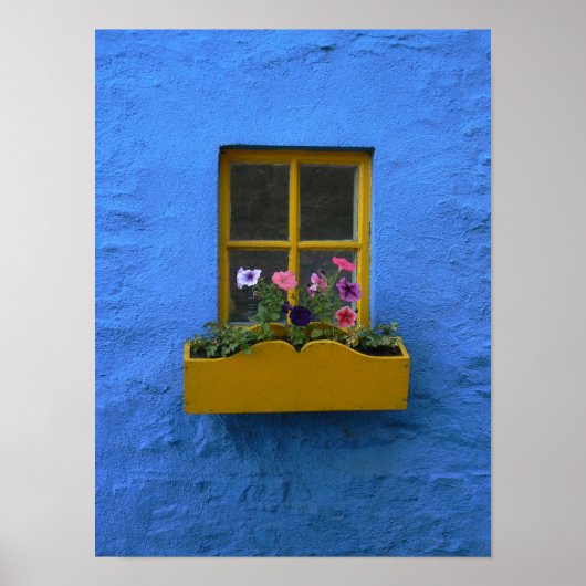 Irish Cottage Windows box Poster (Voorkant)