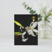 Irish Design-The Flower Collectie Briefkaart (Staand voorkant)