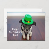 Irish Dog St. Patrick's Day Briefkaart (Voorkant / Achterkant)