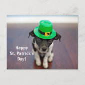 Irish Dog St. Patrick's Day Briefkaart (Voorkant)