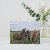Irish Donkey and Horse, Carte postale irlandaise (Debout devant)