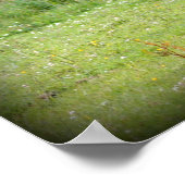 Irish Draft Horse Poster (Hoek)