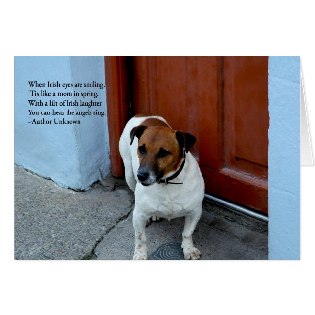 Irish Eyes (Voorkant Horizontaal)