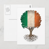 Irish Flag Tree  Briefkaart (Voorkant / Achterkant)