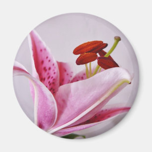 Irish Floral Magnet Magneet