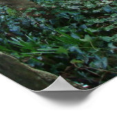 Irish Garden Gate Poster (Hoek)