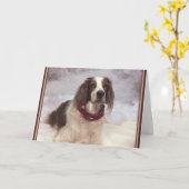 Irish Red and White Setter in the snow and scarf. Kaart (Gele Bloem)