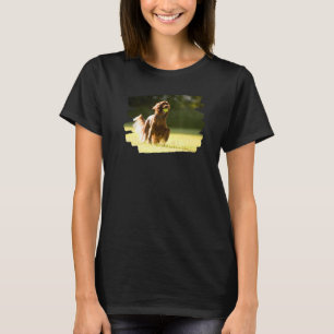 Irish Red Setter Dog T-shirt