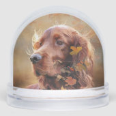 Irish Red Setter, Irish Setter (Avant)