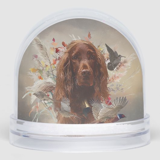 Irish Red Setter, Irish Setter (Avant)