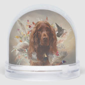 Irish Red Setter, Irish Setter (Arrière)