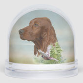 Irish Red Setter, Irish Setter (Avant)