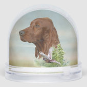 Irish Red Setter, Irish Setter (Arrière)