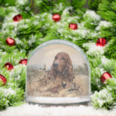 Irish Red Setter, Irish Setter (Noël)