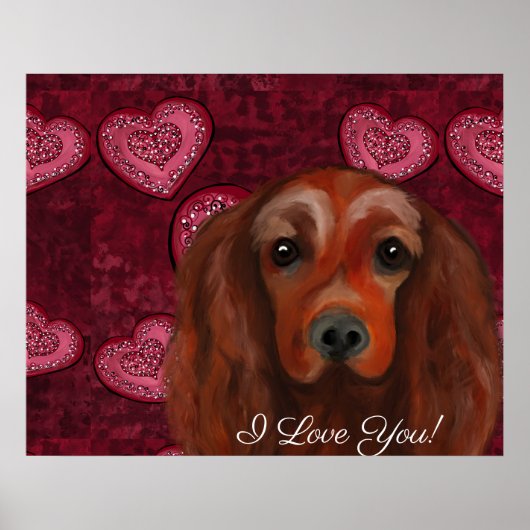 Irish Red Setter Poster (Voorkant)