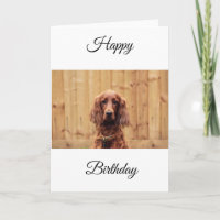 Irish Red Setter Verjaardag Kaart