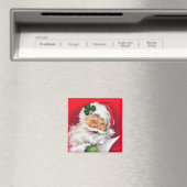 Irish Santa, Irish Kerstmis, Ierland Magneet (Insitu (Vaatwasser))