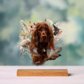 Irish Setter (Neutre)