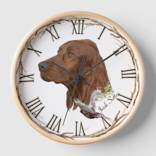 Irish Setter