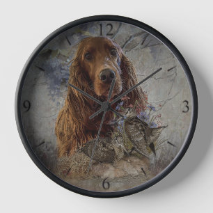 Irish Setter