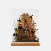 Irish Setter (Recto)