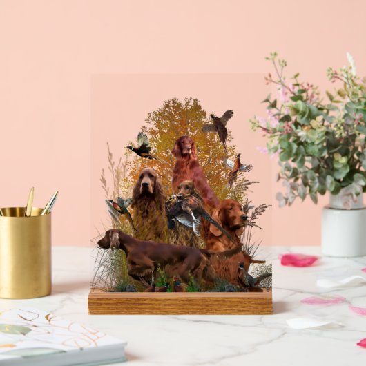 Irish Setter (Mariage)