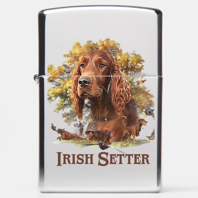 Irish Setter (Voorkant)