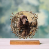 Irish Setter (Neutre)