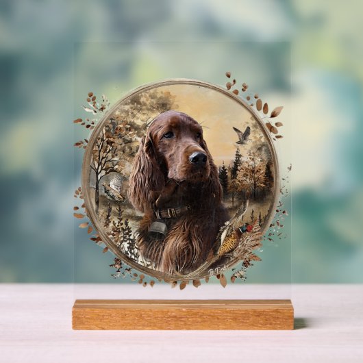 Irish Setter (Neutre)