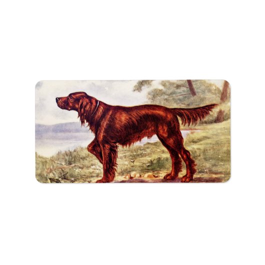 Irish Setter 1900 Illustration of Sporting Dog Etiket (Voorkant)