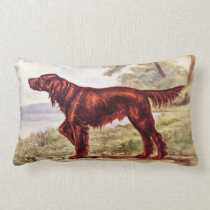 Irish Setter 1900 Illustration of Sporting Dog Kussen