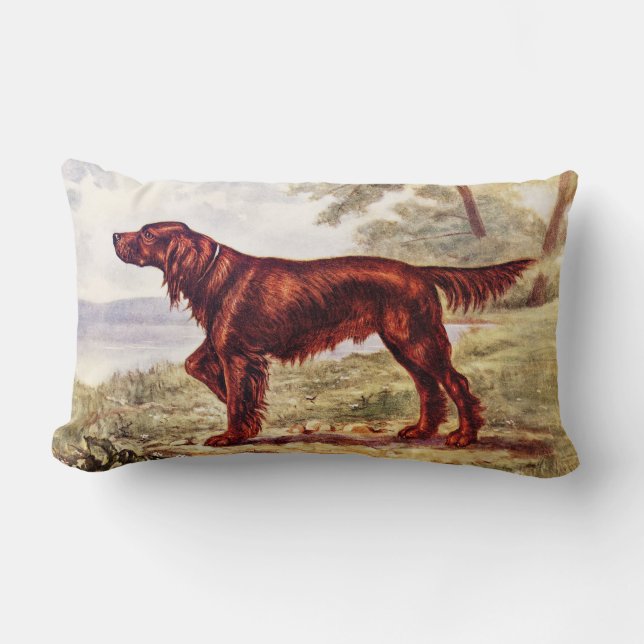 Irish Setter 1900 Illustration of Sporting Dog Kussen (Voorkant)
