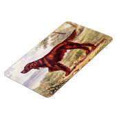 Irish Setter 1900 Illustration of Sporting Dog Magneet (Linkerzijde)