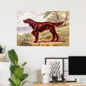 Irish Setter 1900 Illustration of Sporting Dog Poster (Thuiskantoor)