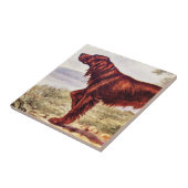 Irish Setter 1900 Illustration of Sporting Dog Tegeltje (Zijkant)