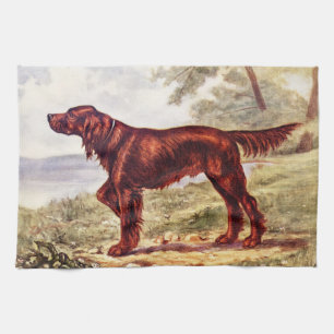Irish Setter 1900 Illustration of Sporting Dog Theedoek
