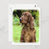 Irish Setter 9T004D-286 Briefkaart (Voorkant / Achterkant)