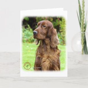 Irish Setter 9T004D-286 Kaart