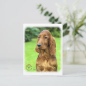Irish Setter 9T004D-349 Briefkaart (Staand voorkant)