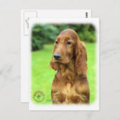 Irish Setter 9T004D-349 Briefkaart (Voorkant / Achterkant)